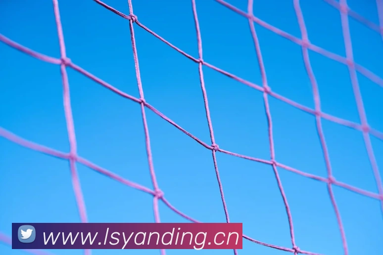 beat365在线登录入口网页版链接品牌故事