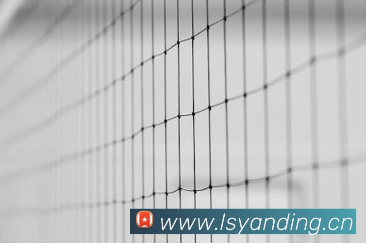 beat365在线登录入口网页版链接服务体系